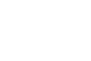 Signature Georges Perelroizen