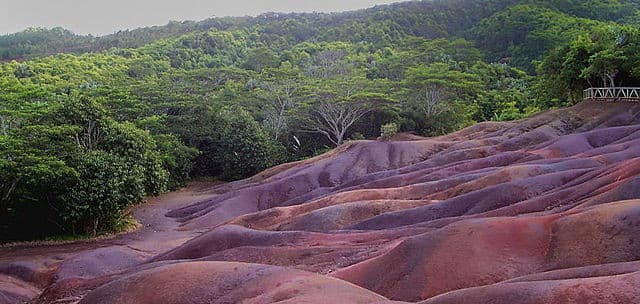 Hyline à L'île Maurice, Hyline à L&rsquo;île Maurice