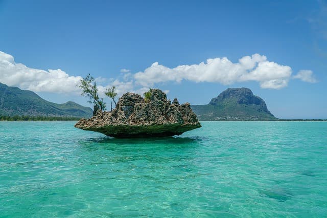 Hyline à L'île Maurice, Hyline à L&rsquo;île Maurice