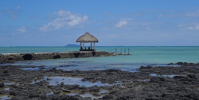 Hyline à L'île Maurice, Hyline à L&rsquo;île Maurice