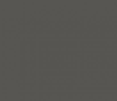 RAL 7022 GRIS TERRE OMBRE MAT