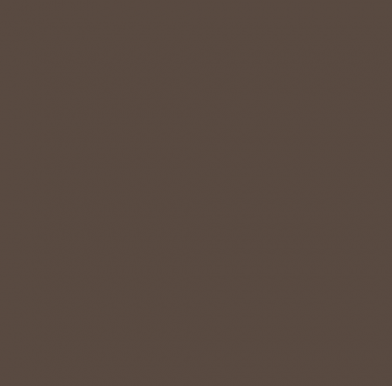 RAL 8014 BRUN SEPIA MAT