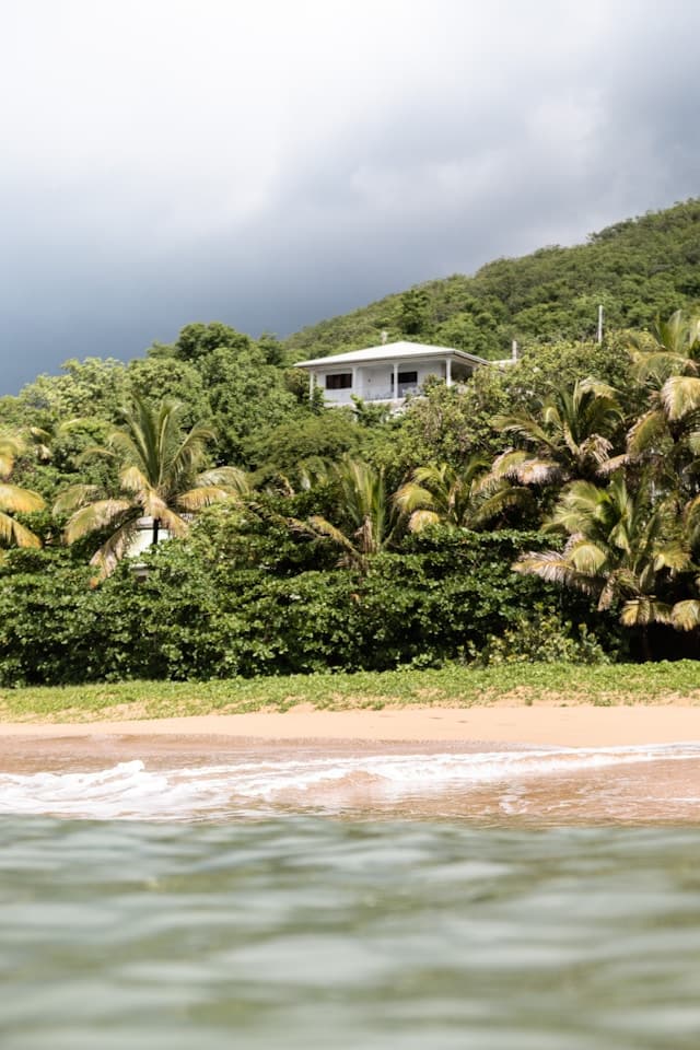 Hyline en Guadeloupe, Hyline en Guadeloupe