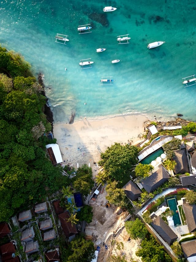Hyline en Guadeloupe, Hyline en Guadeloupe