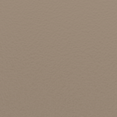 thermolaqués, Le choix infini des thermolaqués