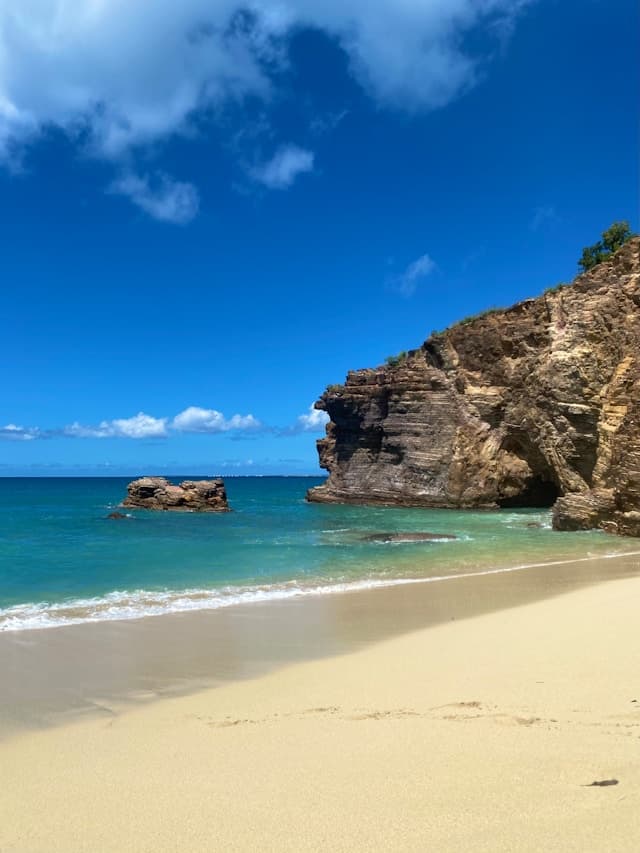 Hyline à Saint Martin, Hyline à Saint Martin