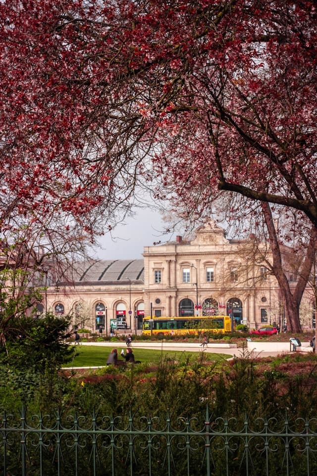 Hyline a Reims, Hyline &agrave; Reims