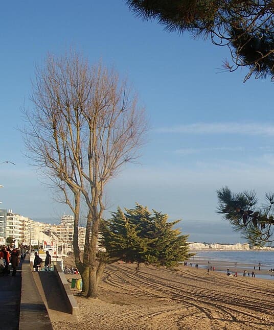 Hyline &agrave; La Baule, Hyline &agrave; La Baule