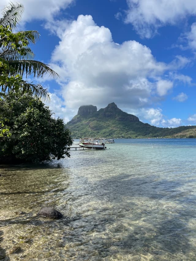 Hyline &agrave; Tahiti, Hyline &agrave; Tahiti