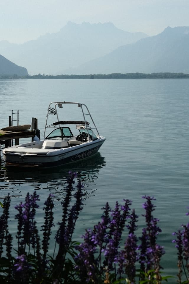 Hyline &agrave; Montreux, Hyline &agrave; Montreux